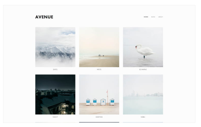 Squarespace Platform Ecommerce Stores
