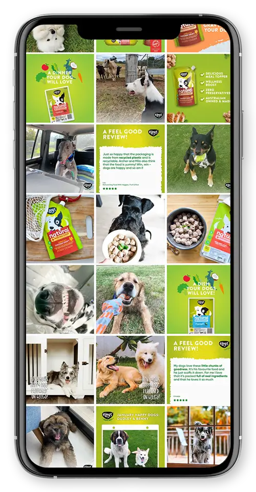 4Legs instagram feed
