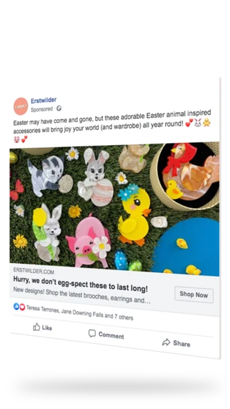 Erstwilder Facebook Ads preview