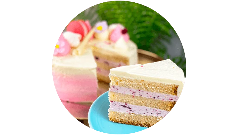 A delicious slice of cheese cake, served on a blue plate
