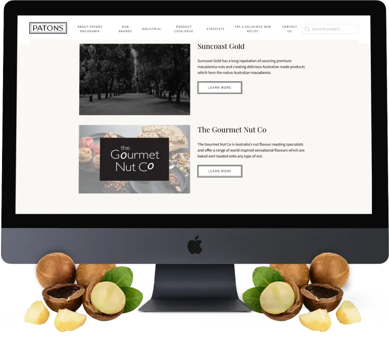 website mockup