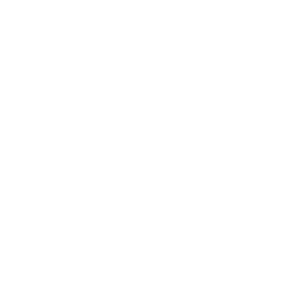 Expert Guidance Icon