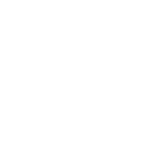Best Most Fresh Ideas Icon