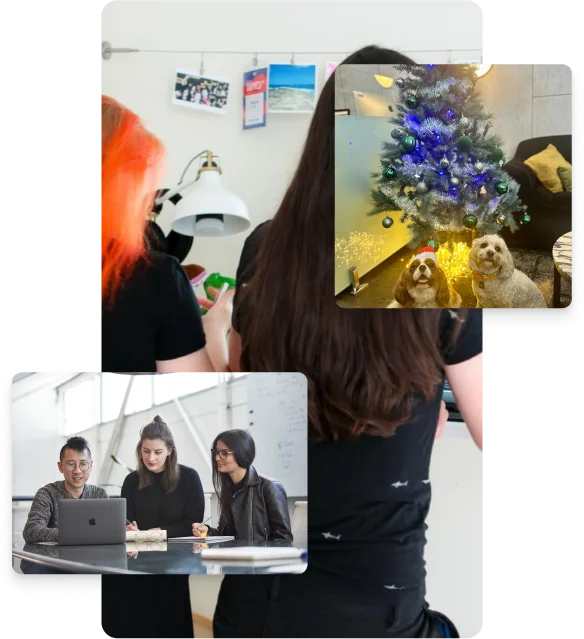 Supportive Career Environment - Rankuvo-X Digital